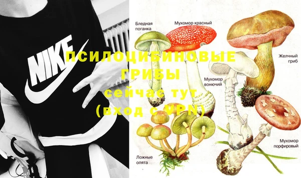 mdpv Волоколамск