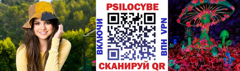 Псилоцибиновые грибы Cubensis Купить Крымск
